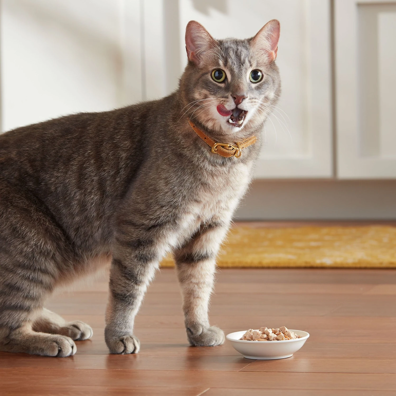 Meow Mix Chunks In Gravy With Real Chicken Breast Wet Cat Food 7 Meow Mix Chunks In Gravy With Real Chicken Breast Wet Cat Food - Image 7