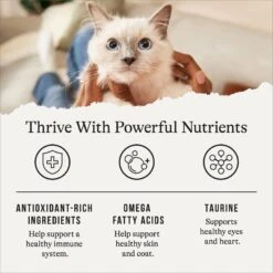 American Journey Chicken Recipe Grain-Free Dry Cat Food -Wellness Sales 131578 PT4. AC SS1800 V1668737142