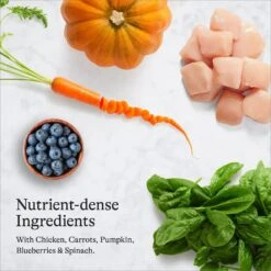 American Journey Chicken Recipe Grain-Free Dry Cat Food -Wellness Sales 131578 PT5. AC SS1800 V1680787082