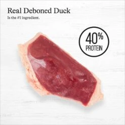 American Journey Duck Recipe Grain-Free Dry Cat Food 12 American Journey Duck Recipe Grain-Free Dry Cat Food -Wellness Sales 131584 PT3. AC SS1800 V1668737456