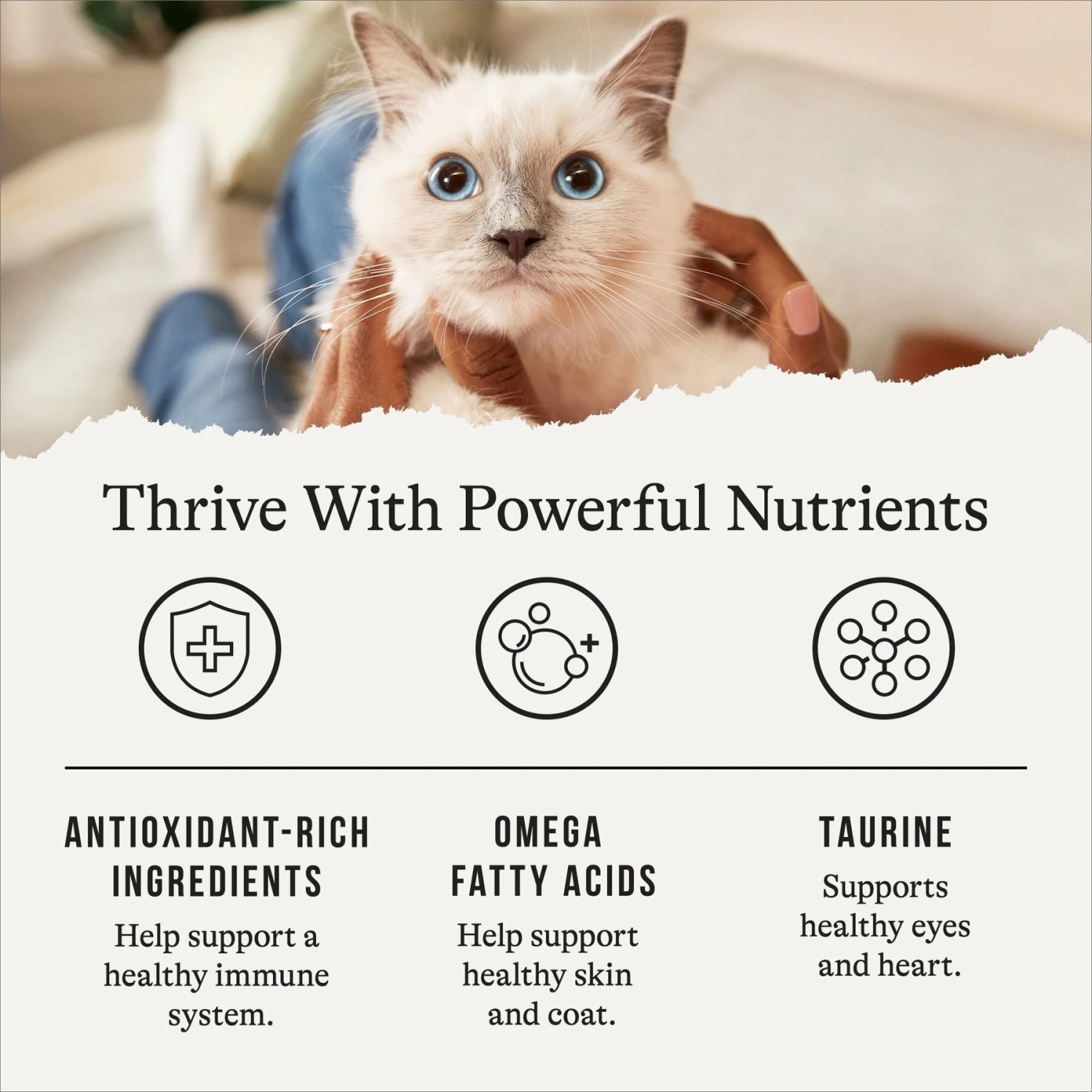 American Journey Duck Recipe Grain-Free Dry Cat Food 5 American Journey Duck Recipe Grain-Free Dry Cat Food - Image 5