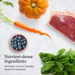 American Journey Duck Recipe Grain-Free Dry Cat Food 14 American Journey Duck Recipe Grain-Free Dry Cat Food -Wellness Sales 131584 PT5. AC SS1800 V1680787075