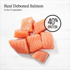 American Journey Salmon Recipe Grain-Free Dry Cat Food -Wellness Sales 131588 PT3. AC SS1800 V1668737143
