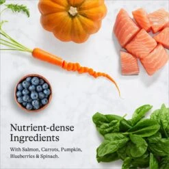 American Journey Salmon Recipe Grain-Free Dry Cat Food -Wellness Sales 131588 PT5. AC SS1800 V1680787135