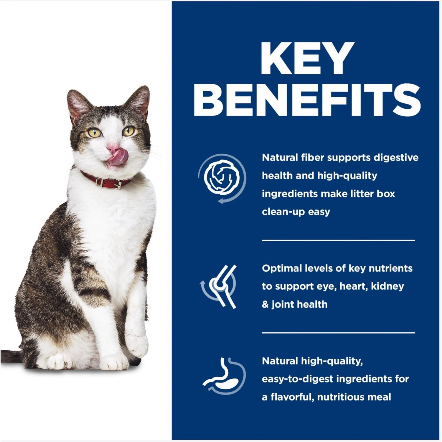 Hill's Science Diet Adult 11+ Indoor Age Defying Dry Cat Food 4 Hill's Science Diet Adult 11+ Indoor Age Defying Dry Cat Food - Image 4