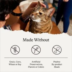 American Journey Pate Poultry & Beef Variety Pack Grain-Free Canned Cat Food 12 American Journey Pate Poultry & Beef Variety Pack Grain-Free Canned Cat Food -Wellness Sales 133907 PT5. AC SS1800 V1691676744