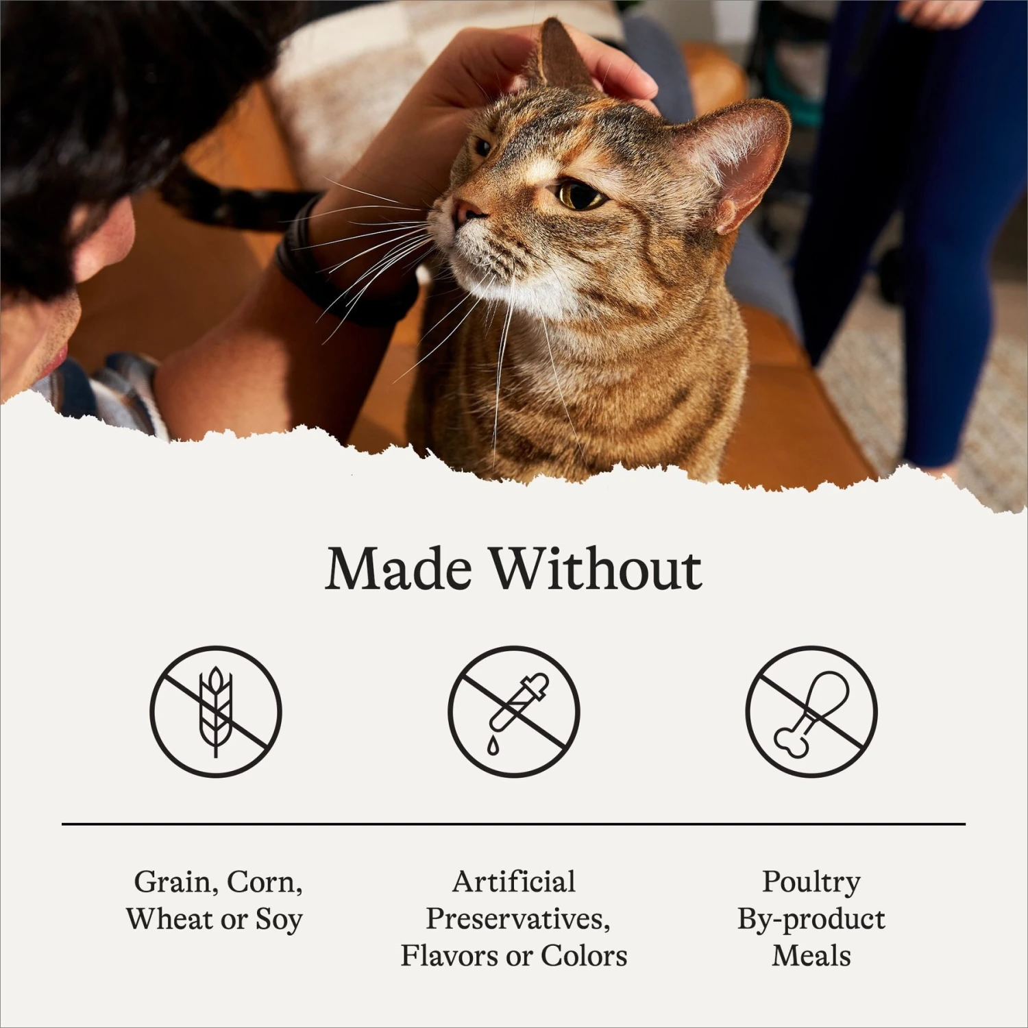 American Journey Pate Poultry & Beef Variety Pack Grain-Free Canned Cat Food 5 American Journey Pate Poultry & Beef Variety Pack Grain-Free Canned Cat Food - Image 5