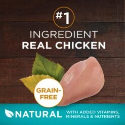 Purina ONE True Instinct Natural Real Chicken Plus Vitamins & Minerals High Protein Grain-Free Dry Cat Food -Wellness Sales 135642 PT2. AC SS1800 V1649123814