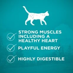 Purina ONE True Instinct Natural Real Chicken Plus Vitamins & Minerals High Protein Grain-Free Dry Cat Food -Wellness Sales 135642 PT3. AC SS1800 V1649114824