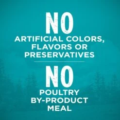 Purina ONE True Instinct Natural Real Chicken Plus Vitamins & Minerals High Protein Grain-Free Dry Cat Food -Wellness Sales 135642 PT4. AC SS1800 V1649127097