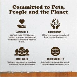 Now Fresh Grain-Free Wild Salmon Pate Wet Cat Food -Wellness Sales 138476 PT8. AC SS1800 V1637793438