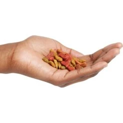 Friskies Seafood Sensations Dry Cat Food -Wellness Sales 139318 PT2. AC SS1800 V1699367688