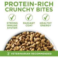 Purina ONE +Plus Indoor Advantage With Real Turkey Natural Adult Dry Cat Food -Wellness Sales 140297 PT2. AC SS1800 V1677532830