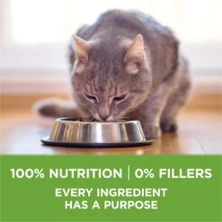 Purina ONE +Plus Indoor Advantage With Real Turkey Natural Adult Dry Cat Food -Wellness Sales 140297 PT6. AC SS1800 V1677528915