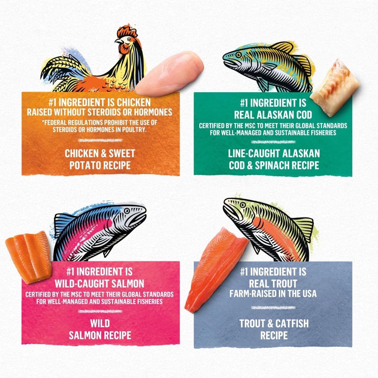 Purina Beyond Grain-Free Pate 4 Flavors Variety Pack Canned Cat Food 3 Purina Beyond Grain-Free Pate 4 Flavors Variety Pack Canned Cat Food - Image 3