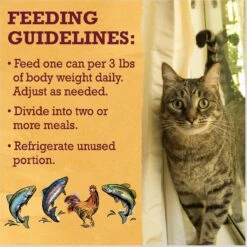 Purina Beyond Grain-Free Pate 4 Flavors Variety Pack Canned Cat Food 17 Purina Beyond Grain-Free Pate 4 Flavors Variety Pack Canned Cat Food -Wellness Sales 140460 PT8. AC SS1800 V1641260842