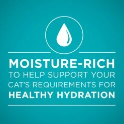 Purina ONE True Instinct 4 Flavors Variety Pack Canned Cat Food -Wellness Sales 140464 PT3. AC SS1800 V1641584577