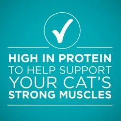 Purina ONE True Instinct 4 Flavors Variety Pack Canned Cat Food -Wellness Sales 140464 PT6. AC SS1800 V1641587578