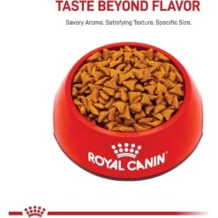 New Arrival -Wellness Sales 140509 PT1. AC SS1800 V1697754238