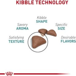 Royal Canin Hairball Care Dry Cat Food -Wellness Sales 140509 PT3. AC SS1800 V1697758592