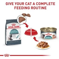 Royal Canin Hairball Care Dry Cat Food -Wellness Sales 140509 PT7. AC SS1800 V1697760165