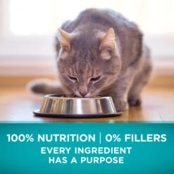 Purina ONE True Instinct Natural Grain-Free With Ocean Whitefish High Protein Dry Cat Food -Wellness Sales 141248 PT4. AC SS1800 V1649125368