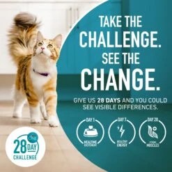 Purina ONE True Instinct Natural Grain-Free With Ocean Whitefish High Protein Dry Cat Food -Wellness Sales 141248 PT7. AC SS1800 V1649124399
