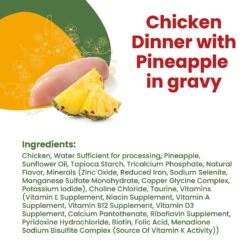 Almo Nature HQS La Cucina Chicken With Pineapple Grain-Free Cat Food Pouches -Wellness Sales 141493 PT3. AC SS1800 V1639526505