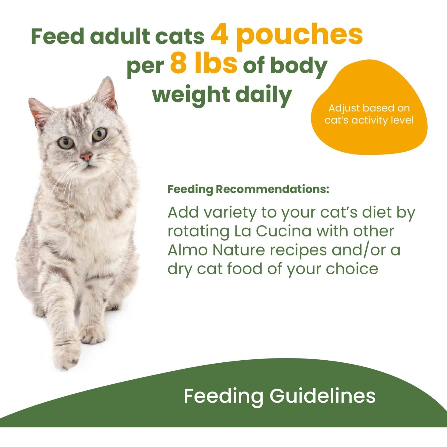 Almo Nature HQS La Cucina Tuna With Sole Grain-Free Cat Food Pouches 6 Almo Nature HQS La Cucina Tuna With Sole Grain-Free Cat Food Pouches - Image 6