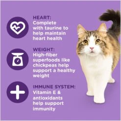 Rachael Ray Nutrish Longevity Natural Chicken With Chickpeas & Salmon Recipe Dry Cat Food -Wellness Sales 141825 PT4. AC SS1800 V1691768641