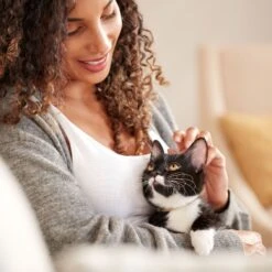 Rachael Ray Nutrish Longevity Natural Chicken With Chickpeas & Salmon Recipe Dry Cat Food -Wellness Sales 141825 PT5. AC SS1800 V1691761239