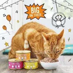 Tiny Tiger Pate Turkey & Giblets Recipe Grain-Free Canned Cat Food 13 Tiny Tiger Pate Turkey & Giblets Recipe Grain-Free Canned Cat Food -Wellness Sales 141881 PT4. AC SS1800 V1687286227
