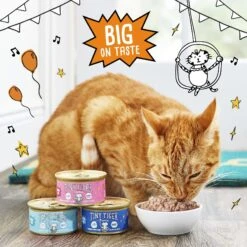 Tiny Tiger Pate Seafood Recipes Variety Pack Grain-Free Canned Cat Food -Wellness Sales 141885 PT4. AC SS1800 V1671721018