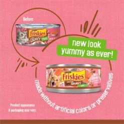 Friskies Extra Gravy Pate With Salmon In Savory Gravy Canned Cat Food 11 Friskies Extra Gravy Pate With Salmon In Savory Gravy Canned Cat Food -Wellness Sales 142577 PT2. AC SS1800 V1700157550