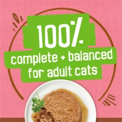 Friskies Extra Gravy Pate With Salmon In Savory Gravy Canned Cat Food 14 Friskies Extra Gravy Pate With Salmon In Savory Gravy Canned Cat Food -Wellness Sales 142577 PT5. AC SS1800 V1700157267