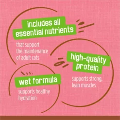 Friskies Extra Gravy Pate With Salmon In Savory Gravy Canned Cat Food 16 Friskies Extra Gravy Pate With Salmon In Savory Gravy Canned Cat Food -Wellness Sales 142577 PT7. AC SS1800 V1700156902