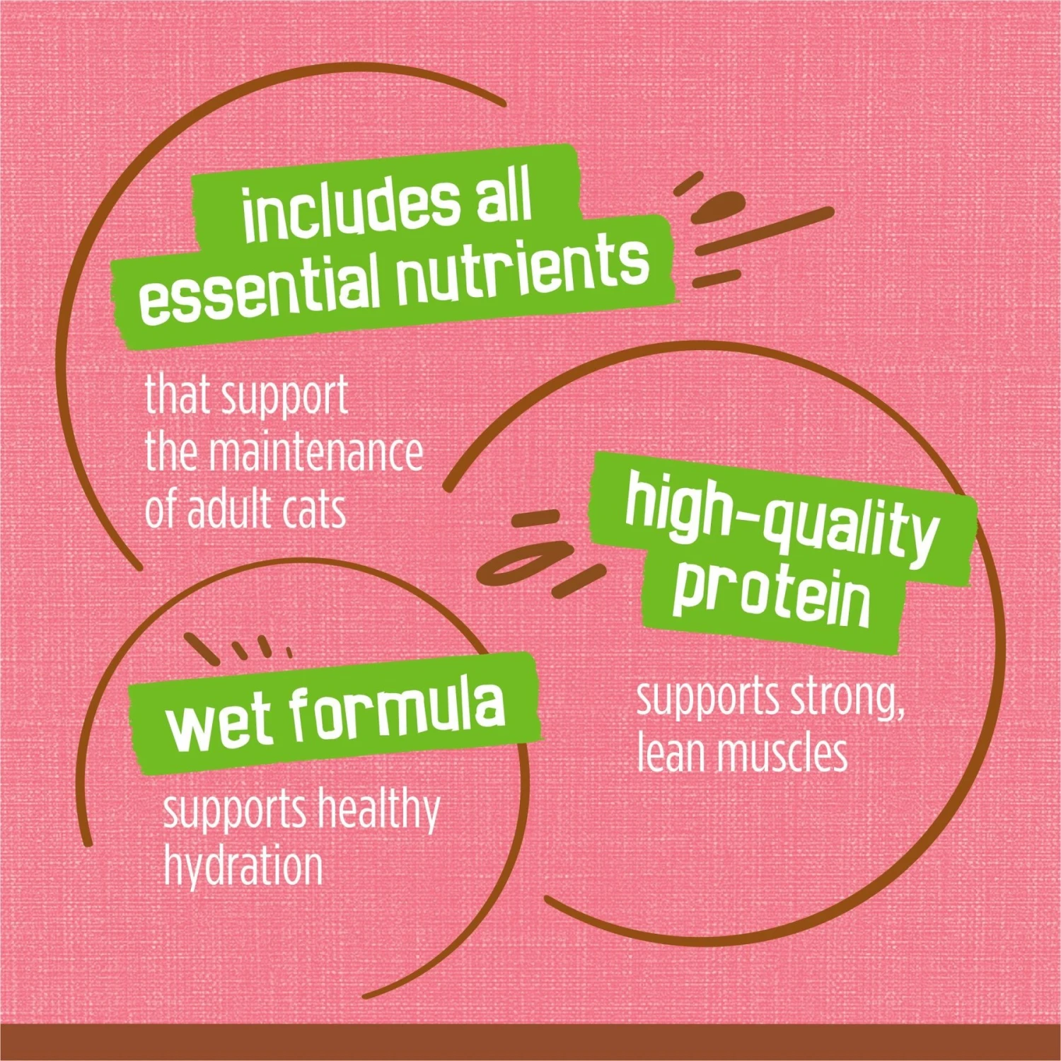 Friskies Extra Gravy Pate With Salmon In Savory Gravy Canned Cat Food 8 Friskies Extra Gravy Pate With Salmon In Savory Gravy Canned Cat Food - Image 8