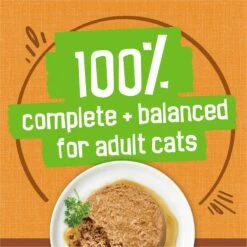 Friskies Extra Gravy Pate With Chicken In Savory Gravy Canned Cat Food -Wellness Sales 142579 PT5. AC SS1800 V1699369727