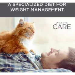 Diamond Care Weight Management Formula Adult Grain-Free Dry Cat Food 12 Diamond Care Weight Management Formula Adult Grain-Free Dry Cat Food -Wellness Sales 143254 PT4. AC SS1800 V1587655852