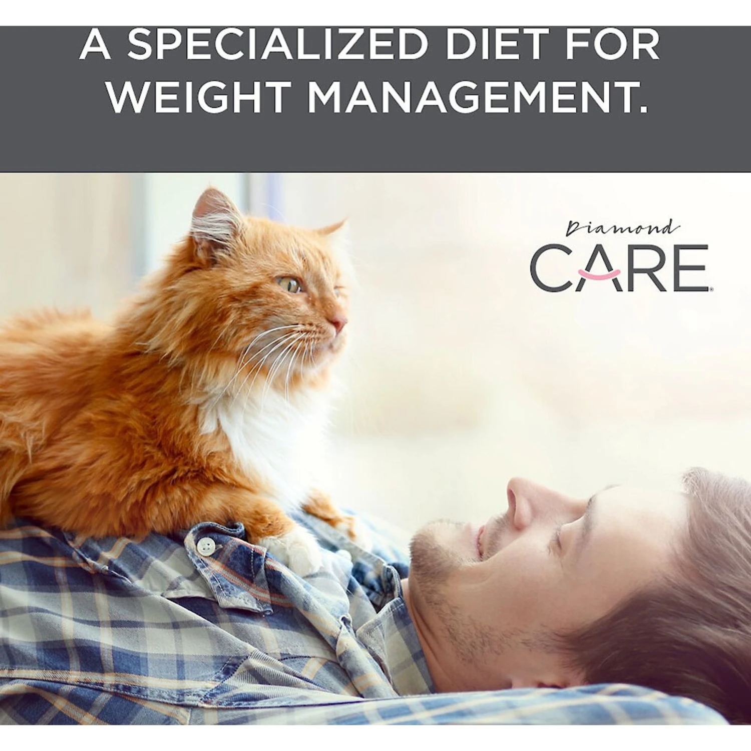 Diamond Care Weight Management Formula Adult Grain-Free Dry Cat Food 5 Diamond Care Weight Management Formula Adult Grain-Free Dry Cat Food - Image 5