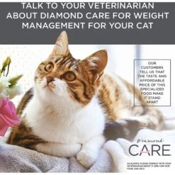 Diamond Care Weight Management Formula Adult Grain-Free Dry Cat Food 14 Diamond Care Weight Management Formula Adult Grain-Free Dry Cat Food -Wellness Sales 143254 PT6. AC SS1800 V1587655853