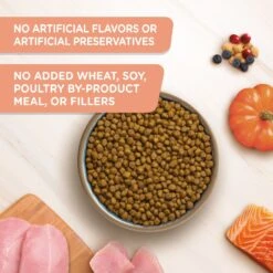 Rachael Ray Nutrish Inner Health Turkey With Chickpeas & Salmon Recipe Dry Cat Food -Wellness Sales 143701 PT2. AC SS1800 V1692391566