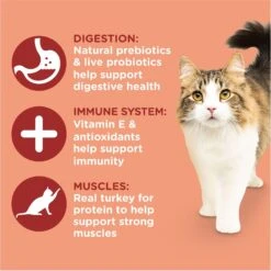 Rachael Ray Nutrish Inner Health Turkey With Chickpeas & Salmon Recipe Dry Cat Food -Wellness Sales 143701 PT3. AC SS1800 V1692393339