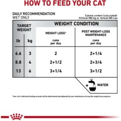 Royal Canin Veterinary Diet Adult Satiety Support Weight Management Thin Slices In Gravy Canned Cat Food 11 Royal Canin Veterinary Diet Adult Satiety Support Weight Management Thin Slices In Gravy Canned Cat Food -Wellness Sales 144955 PT2. AC SS1800 V1641858127