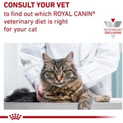 Royal Canin Veterinary Diet Adult Satiety Support Weight Management Thin Slices In Gravy Canned Cat Food 14 Royal Canin Veterinary Diet Adult Satiety Support Weight Management Thin Slices In Gravy Canned Cat Food -Wellness Sales 144955 PT5. AC SS1800 V1641860790