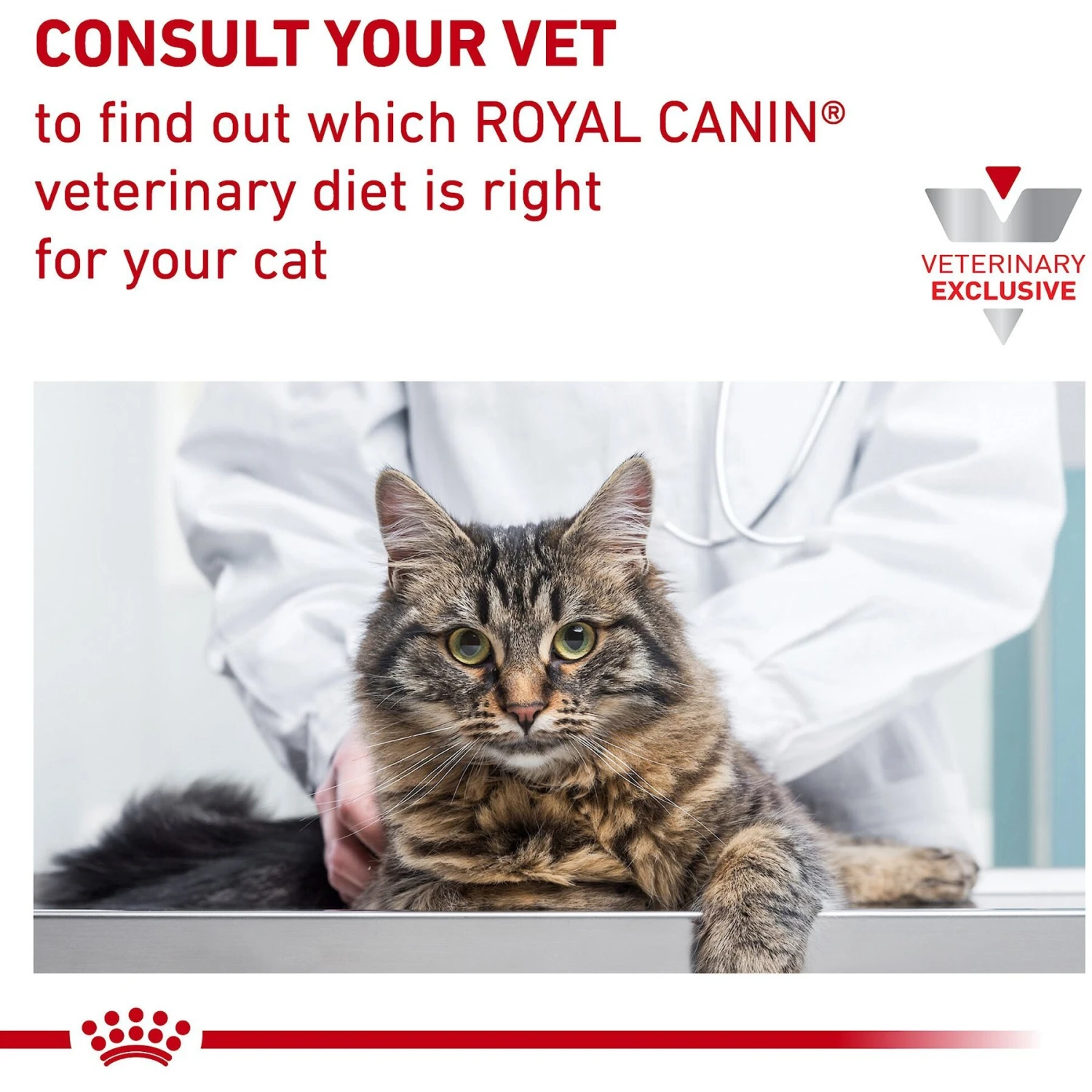 Royal Canin Veterinary Diet Adult Satiety Support Weight Management Thin Slices In Gravy Canned Cat Food 6 Royal Canin Veterinary Diet Adult Satiety Support Weight Management Thin Slices In Gravy Canned Cat Food - Image 6