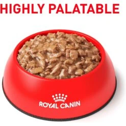 Royal Canin Veterinary Diet Adult Satiety Support Weight Management Thin Slices In Gravy Canned Cat Food 16 Royal Canin Veterinary Diet Adult Satiety Support Weight Management Thin Slices In Gravy Canned Cat Food -Wellness Sales 144955 PT7. AC SS1800 V1641854492