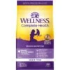 Wellness Complete Health Grain-Free Indoor Healthy Weight Chicken Recipe Natural Dry Cat Food