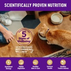 Wellness Complete Health Grain-Free Indoor Healthy Weight Chicken Recipe Natural Dry Cat Food 11 Wellness Complete Health Grain-Free Indoor Healthy Weight Chicken Recipe Natural Dry Cat Food -Wellness Sales 145531 PT4. AC SS1800 V1636511657