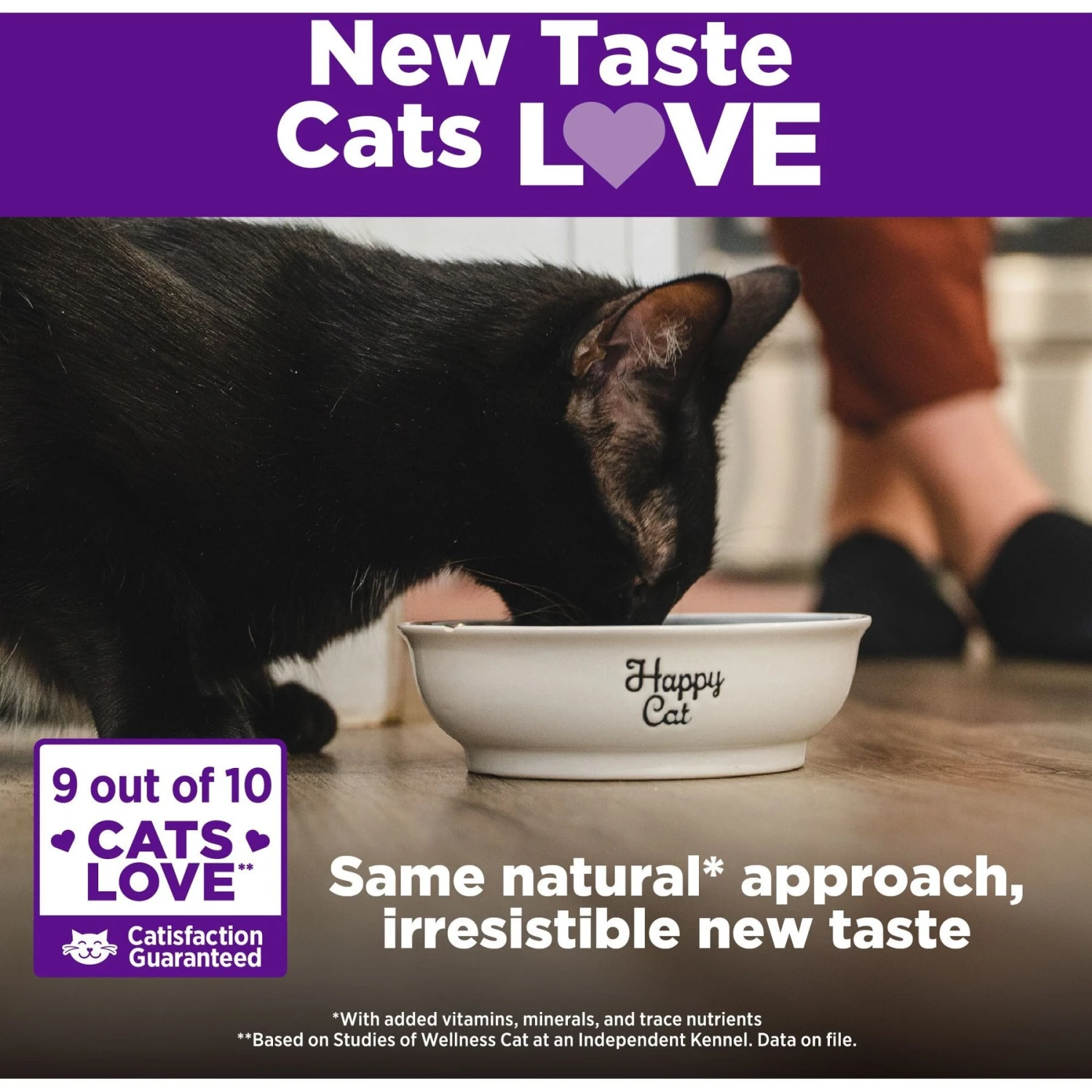 Wellness Complete Health Grain-Free Indoor Healthy Weight Chicken Recipe Natural Dry Cat Food 5 Wellness Complete Health Grain-Free Indoor Healthy Weight Chicken Recipe Natural Dry Cat Food - Image 5